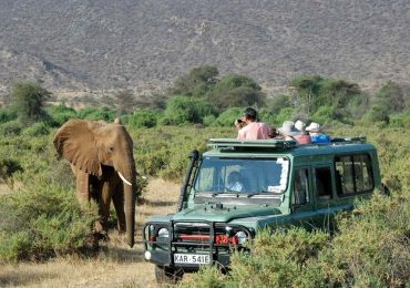 Elephant beside a safari vehicle in Kenya