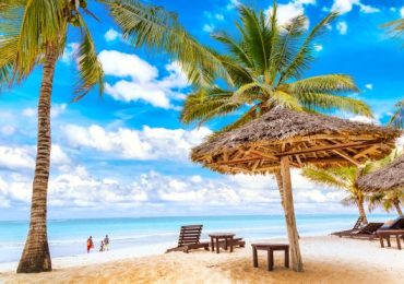 Palm-lined white-sand beach on the Kenya Coast