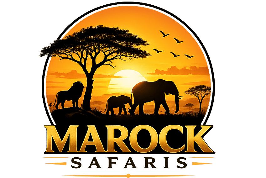 Marock Safaris